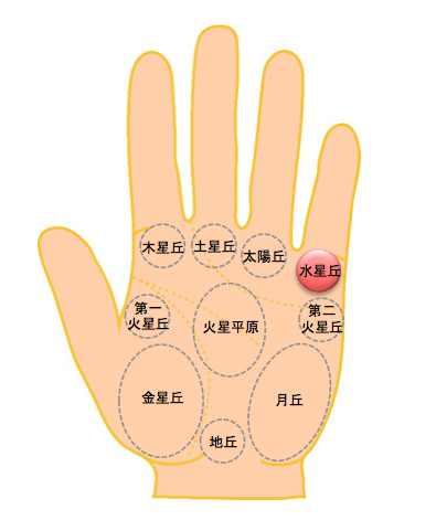 お金を引き寄せる力と頭の良さの源 水星丘とは 開運手相研究所